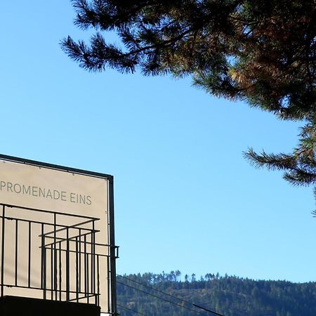 Top Five See & Bergblick - Haus Seepromenade Döbriach Εξωτερικό φωτογραφία